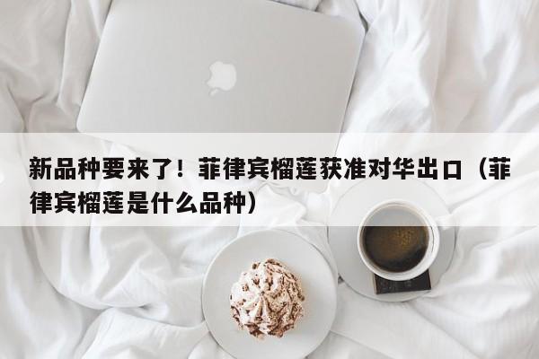 新品种要来了！菲律宾榴莲获准对华出口（菲律宾榴莲是什么品种）