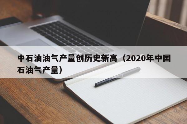 中石油油气产量创历史新高（2020年中国石油气产量）