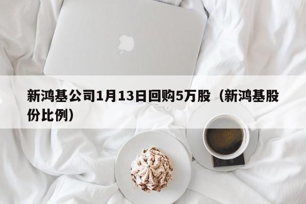 新鸿基公司1月13日回购5万股（新鸿基股份比例）